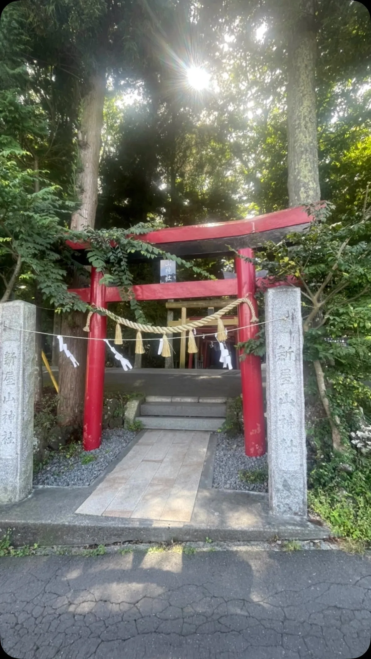 おはようございます☀